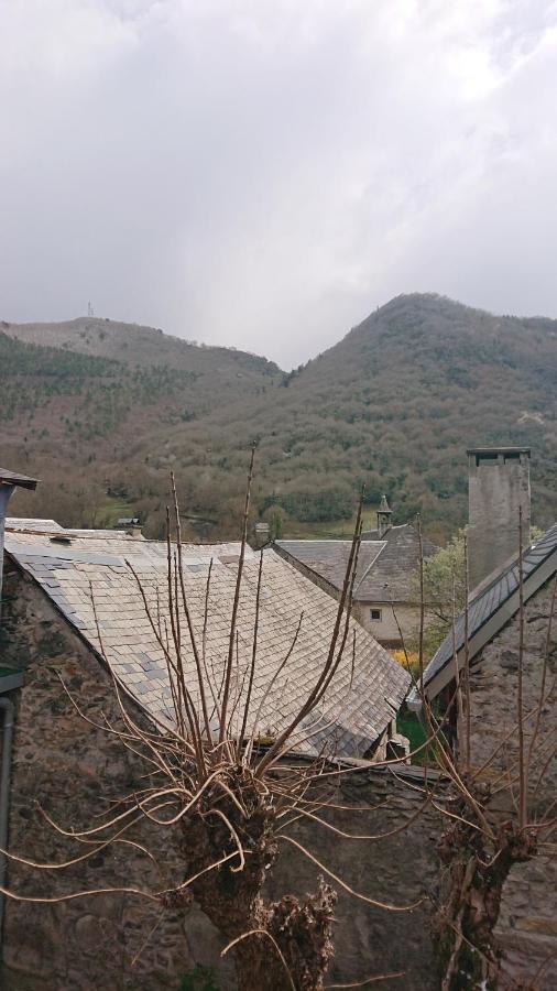 Appartement Dans Ancienne Maison Pyreneenne. Cadéac Exterior foto